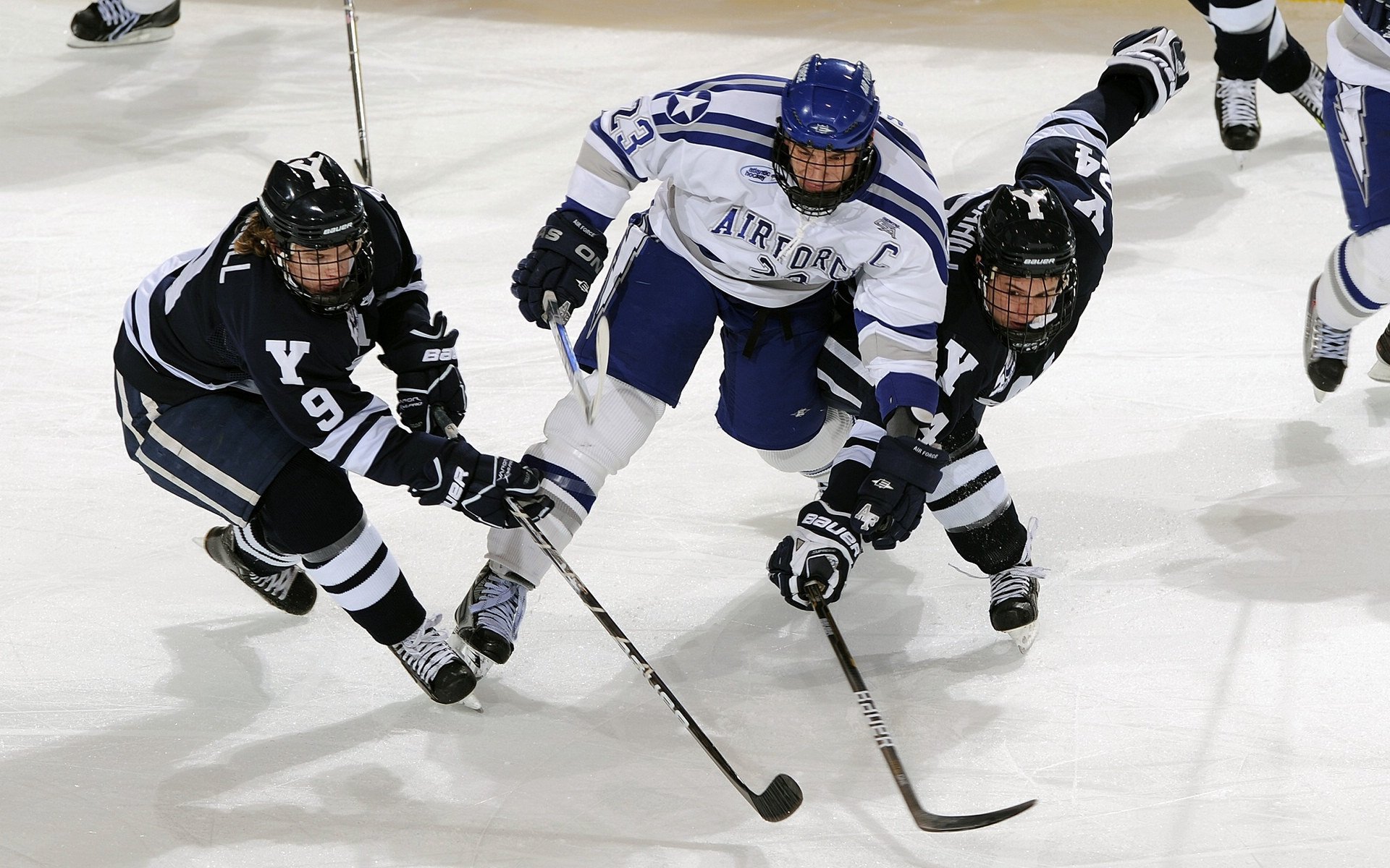 “彼得森再度证明自己，成为南非队的未来之星”